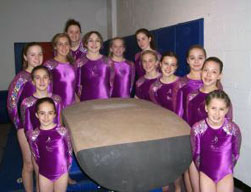 aau gymnastics