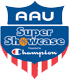 aau boys basketball super show