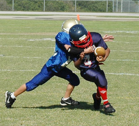 T ball zephyrhills