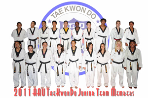 2011 Jr