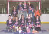 2003 16u Girls Bronze.jpg (53058 bytes)