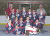 2003 8u Comp Silver.jpg (53887 bytes)